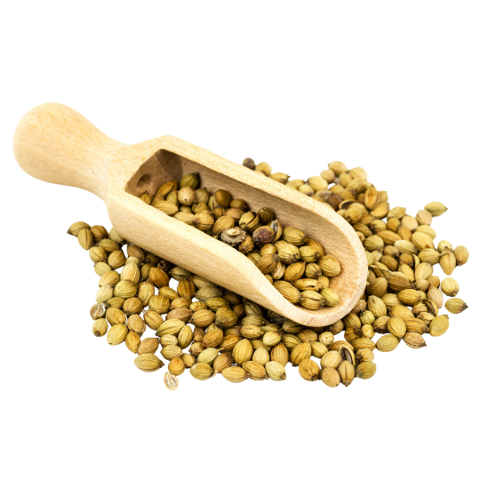 Coriander Seeds