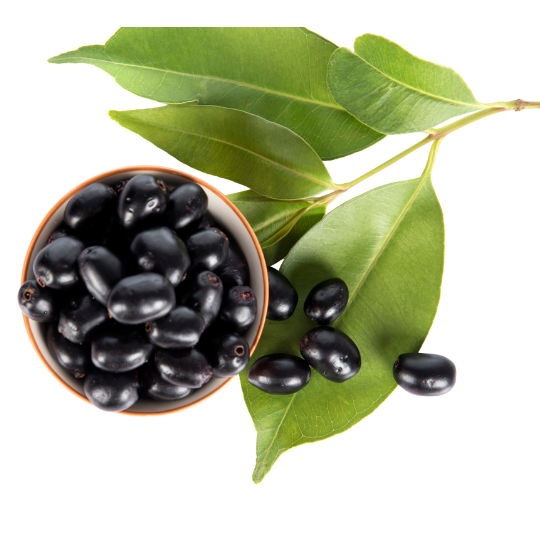Jamun Seeds